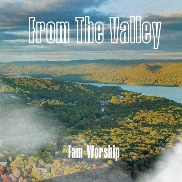 Cover art for From the Valley (Live)